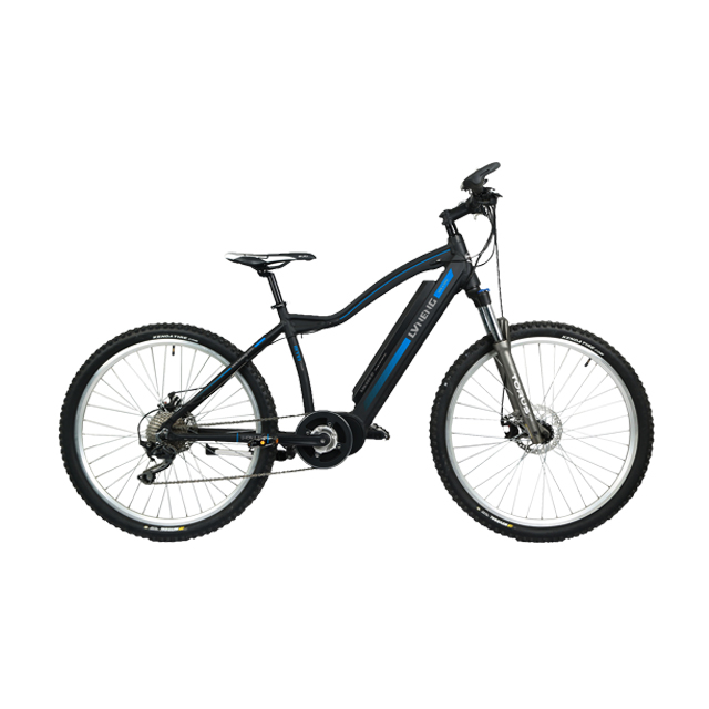 LN26M01 juiced adult electric bike bicycle manufacturer oem