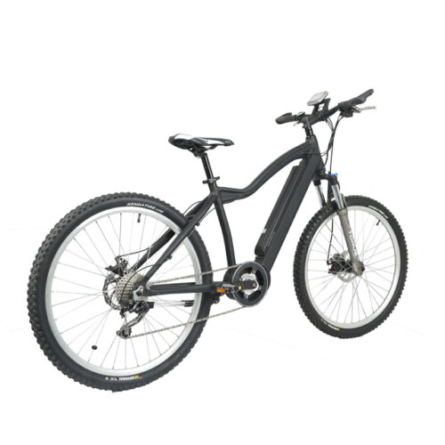 LN26M01 juiced adulto bicicleta elétrica fabricante de bicicletas oem