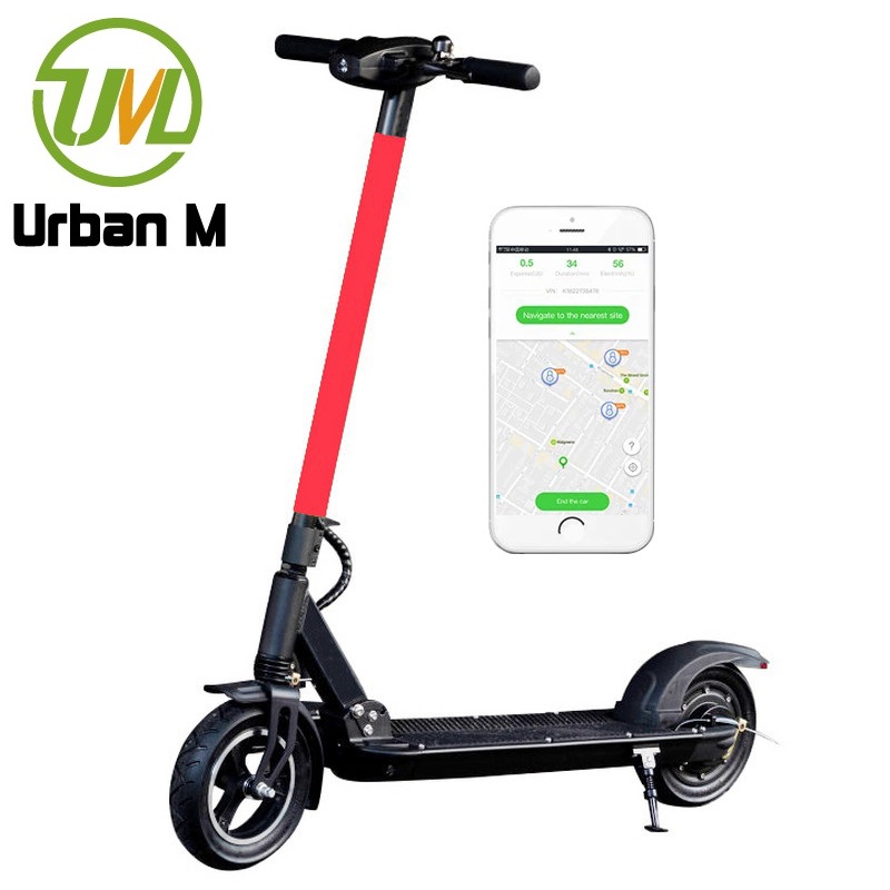 FS Pro mobility electric motor scooter for adults supplier