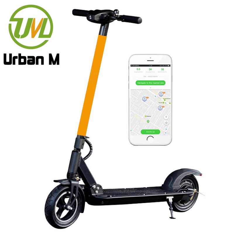 Skuter motor listrik mobilitas FS Pro untuk pemasok orang dewasa