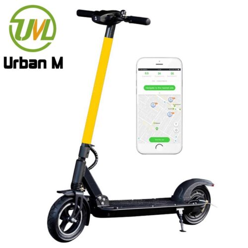 Skuter motor listrik mobilitas FS Pro untuk pemasok orang dewasa