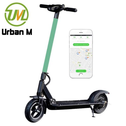 Skuter motor listrik mobilitas FS Pro untuk pemasok orang dewasa