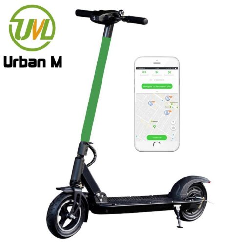 Skuter motor listrik mobilitas FS Pro untuk pemasok orang dewasa