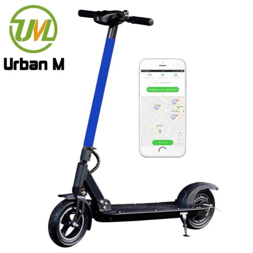 Skuter motor listrik mobilitas FS Pro untuk pemasok orang dewasa