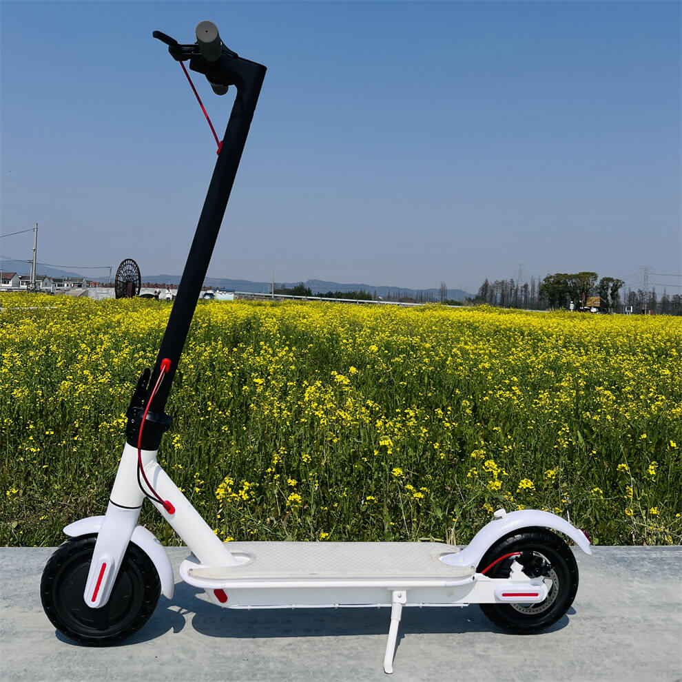 Scooter eléctrico