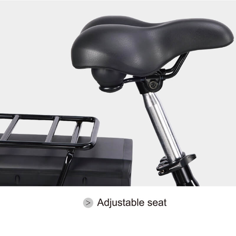3-Wheel Electric Cargo Bike
