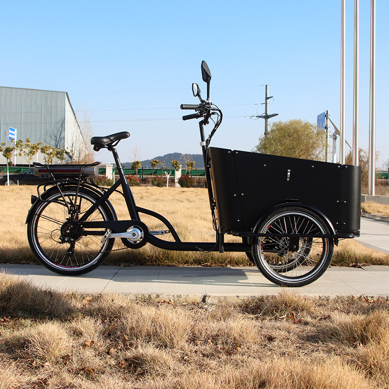 Bicicletă electrică