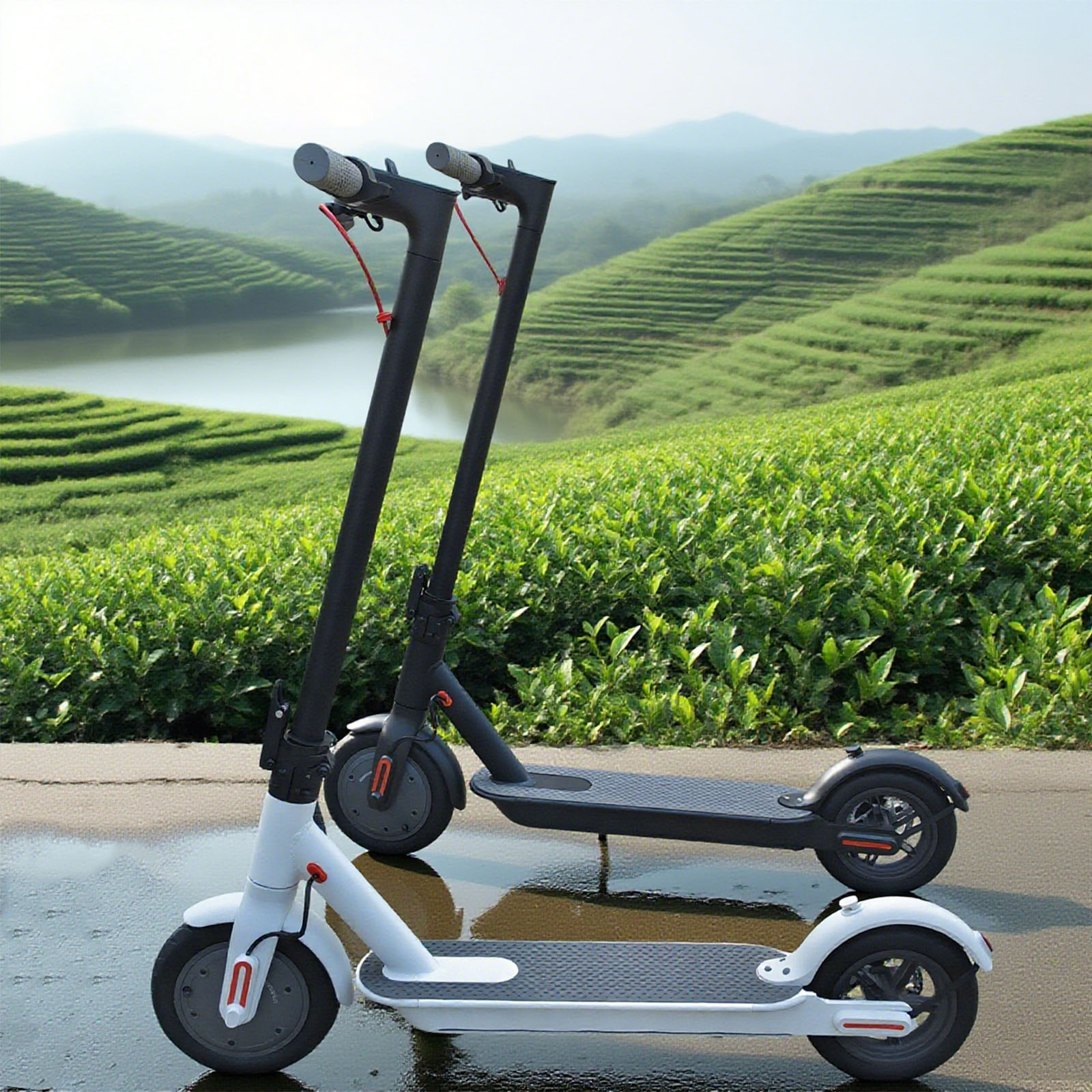 Elektro-Kick-Scooter