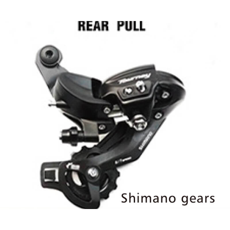 Peak Power 450W Electric Bike