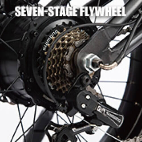 Peak Power 450W Electric Bike