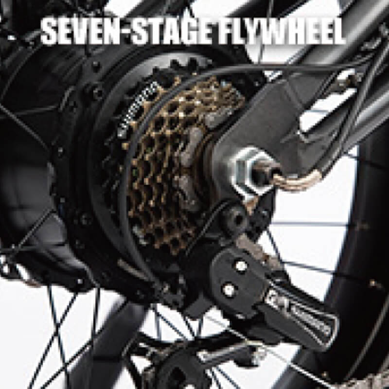 Peak Power 450W Electric Bike
