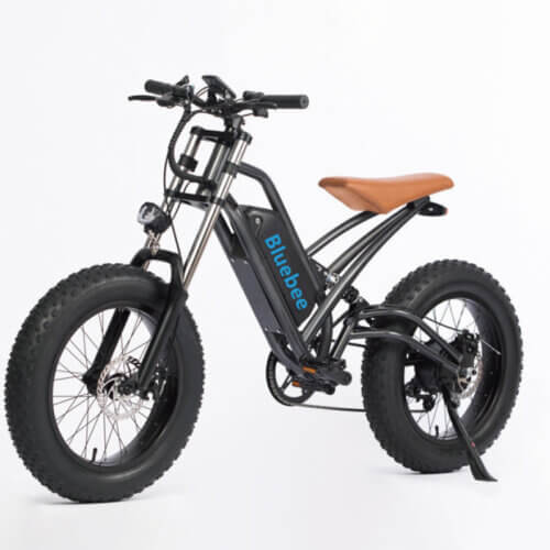 Peak Power 450W Electric Bike