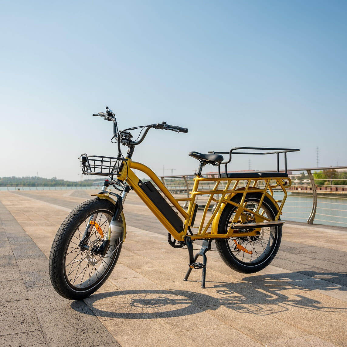 Elektrische fiets
