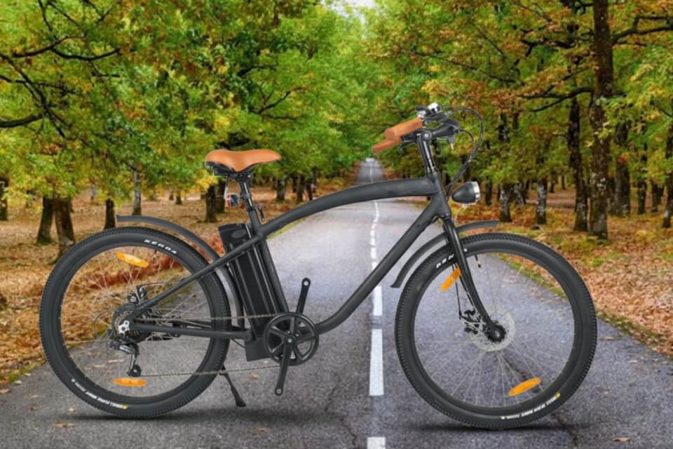 Electric Bike