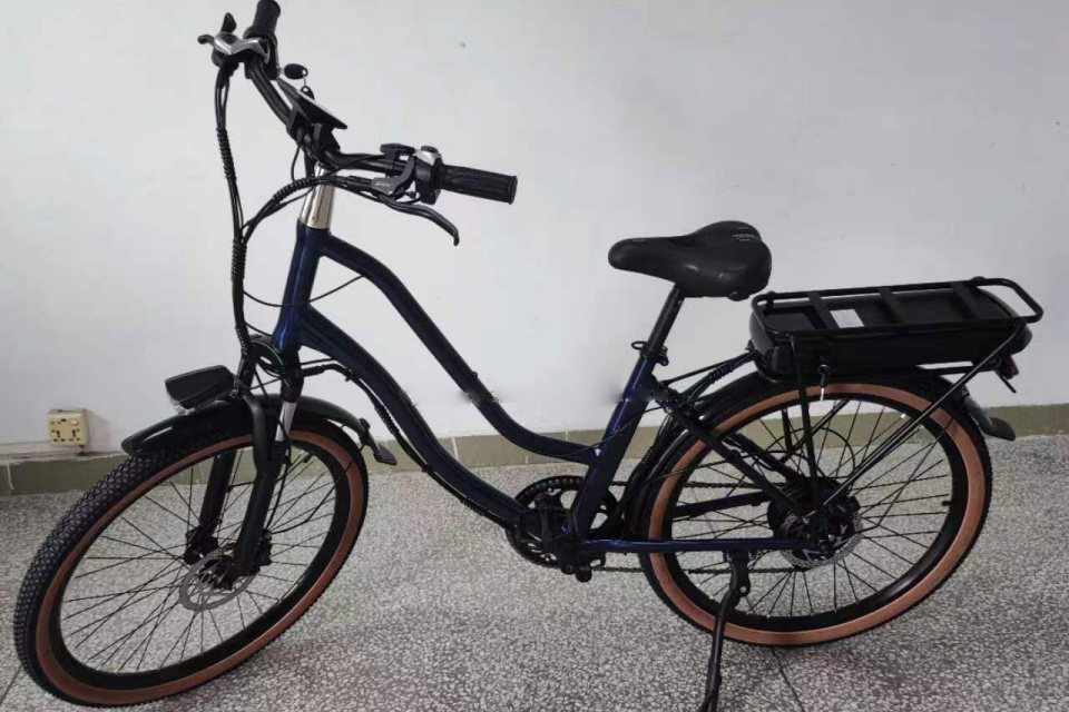 Bicicletta elettrica