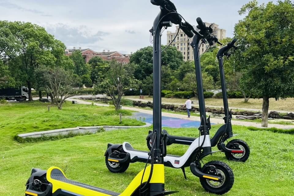 Electric Kick Scooter
