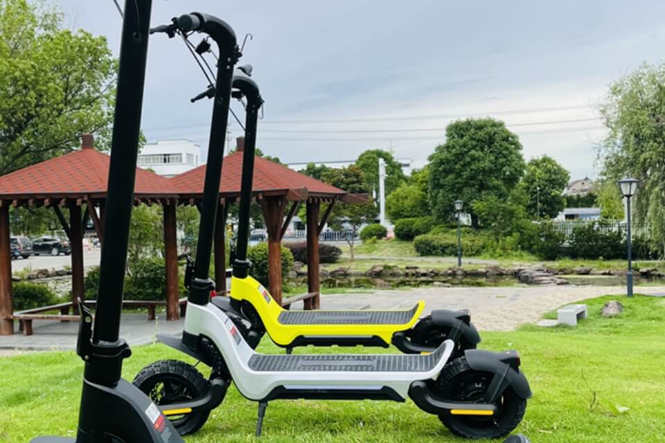 Electric Kick Scooter