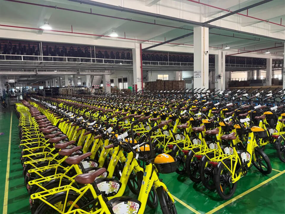 Electric Bikes