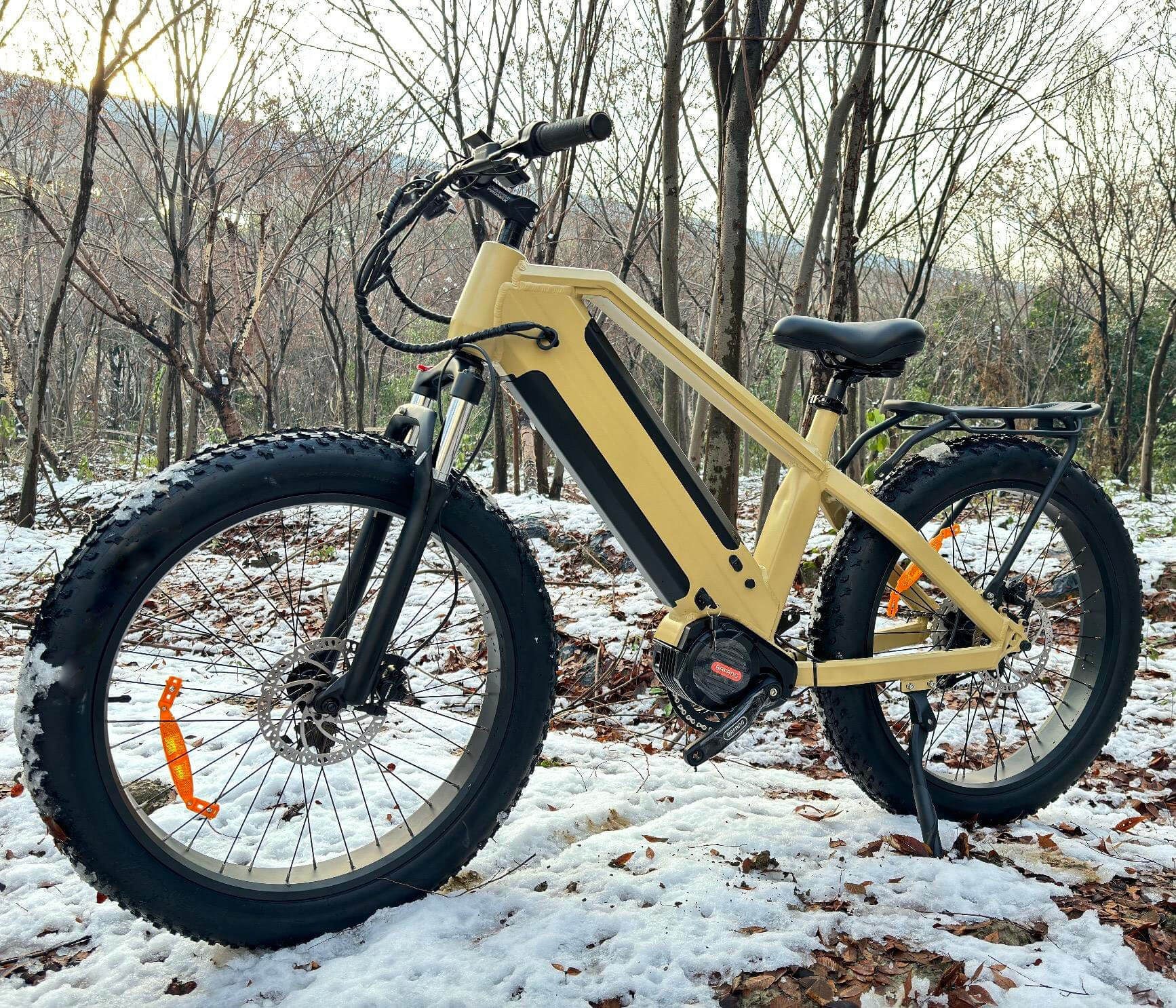Elektrische fiets