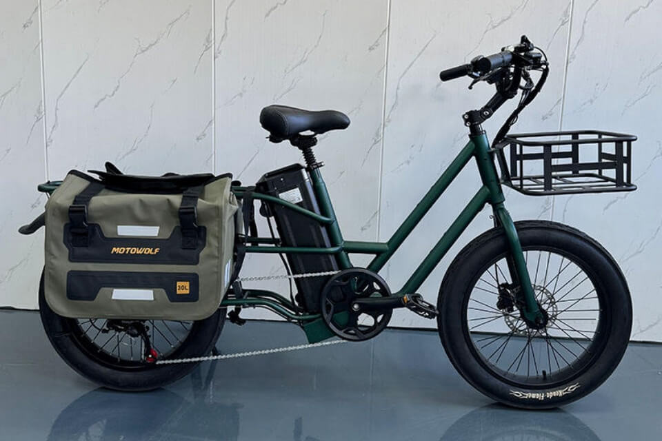 Electric Bike