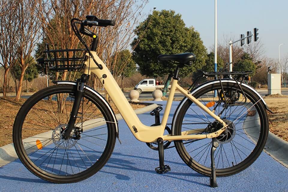 Electric Bike